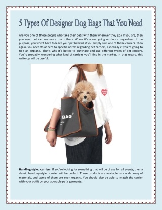 5 Types Of Designer Dog Bags That You Need