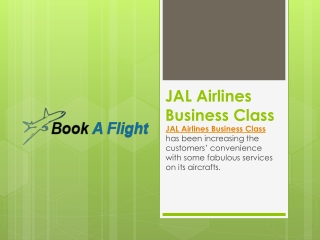 JAL Airlines Business Class
