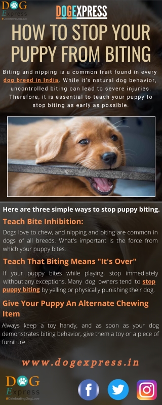 How to Stop Your Puppy From Biting