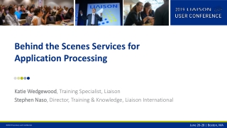 Behind the Scenes Services for Application Processing