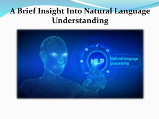 A Brief Insight Into Natural Language Understanding