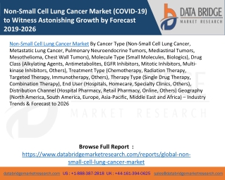 Non-Small Cell Lung Cancer Market (COVID-19) to Witness Astonishing Growth by Forecast 2019-2026