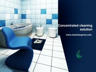 Concentrated cleaning solution-www.cleankangaroo.com