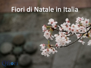 8 Fiori fantastici e speciali in Italia