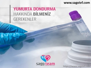 Yumurta Bağışı Yapmakla İlgili 5 Şey