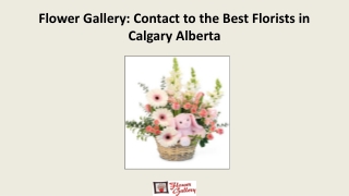 Flower Gallery: Contact to the Best Florists in Calgary Alberta