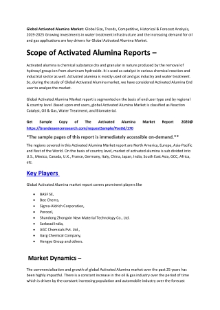 US Comprehensive Report on Activated Alumina Market 2020