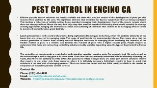 Pest Control In Encino CA