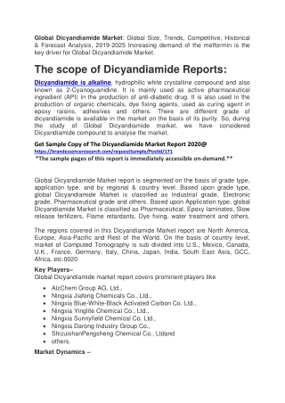 Dicyandiamide Market Critical Analysis with Expert Opinion & Size To 2025