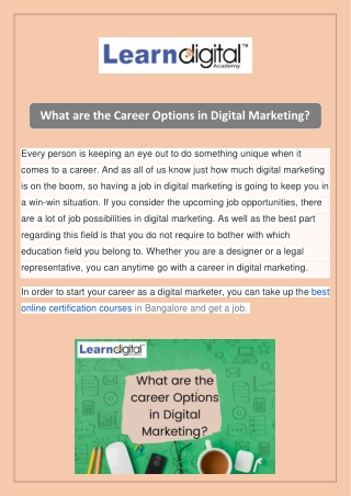 What are the Career Options in Digital Marketing?