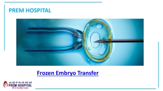 Frozen Embryo Transfer