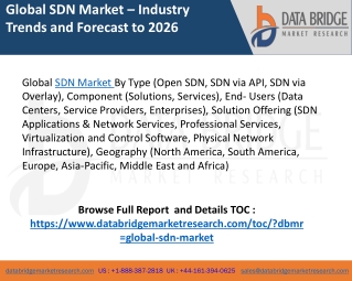 Sdn market