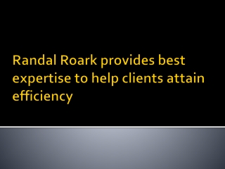 Randal Roark provides best expertise to help clients attain efficiency