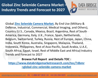 Global Zinc Selenide Camera Market Business & Investment Opportunity