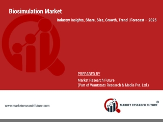 Biosimulation Market Analysis, Size Estimates, Share, Investment Opportunities, Growth | Forecast – 2025