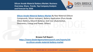 Silicon Anode Material Battery Market