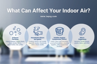 What Can Affect Your Indoor Air