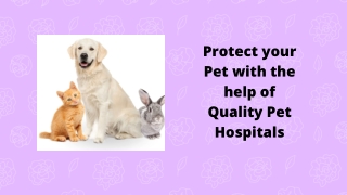 Protect your Pet with the help of Quality Pet Hospitals