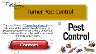 Contact Turner Pest control for professional services