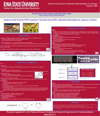 Center for Integrated Animal Genomics