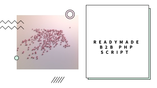 Ready made b2b php script