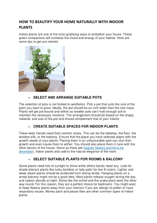 HOW TO BEAUTIFY YOUR HOME NATURALLY WITH INDOOR PLANTS