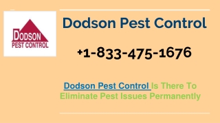 Dodson pest control