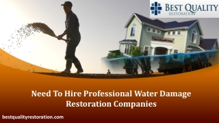 Need To Hire Professional Water Damage Restoration Companies
