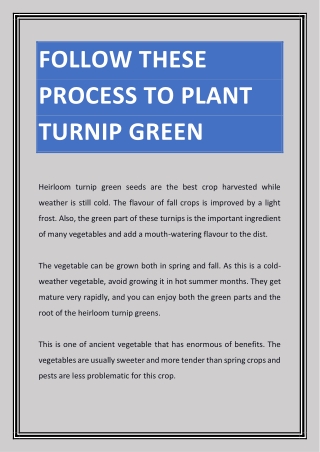 Follow These Process To Plant Turnip Green