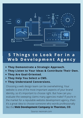 5 Things to Look For in a Web Development Agency