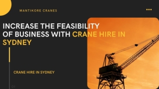 Increase the feasibility of business with crane hire in Sydney