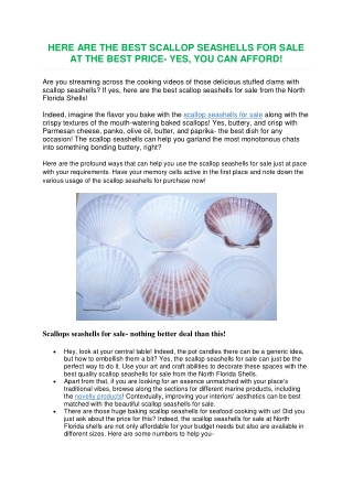 Here are the Best Scallop Seashells for Sale at the Best Price- Yes, You Can Afford!