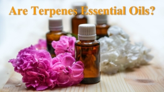 Are Terpenes Essential Oils?