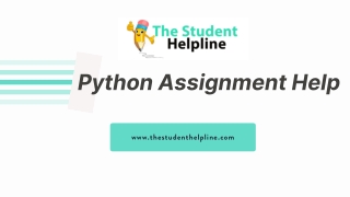 Python Assignment Help