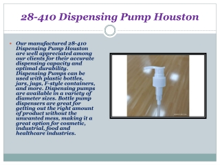 28-410 Dispensing Pump Houston