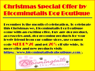 Christmas Special Dress by Bloomingtails Dog Boutique