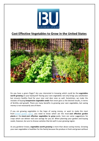 Cost Effective Vegetables to Grow in the United States