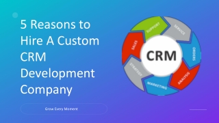 The Ultimate Guide to Custom CRM Development