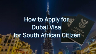 How to Apply for Dubai Visa for South African Citizen | Insta Dubai Visa