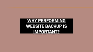 Why Performing Website Backup is Important?