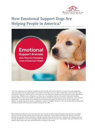 How Emotional Support Dogs Are Helping People in America- BestVetCare