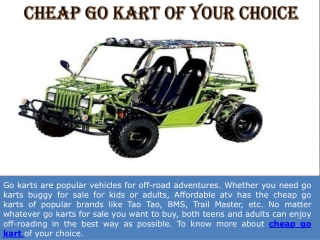 Cheap Go Kart of Your Choice