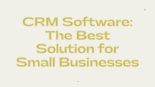 CRM Software: The Best Solution for Small Businesses