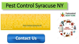 Pest Control Syracuse NY