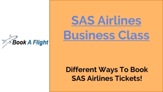 SAS Airlines Business Class