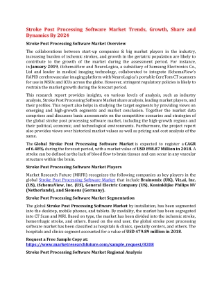 Stroke Post Processing Software Market Trends, Growth, Share and Dynamics By 2024
