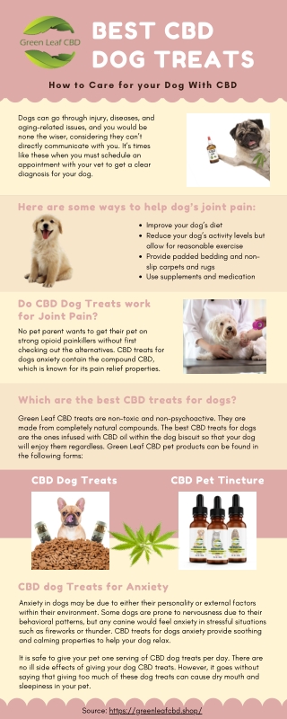 Can CBD Dog Treats Help Ease your Dog's joint Pain and Anxiety?