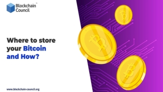 Where to store your Bitcoin and How?