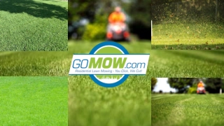 Get the best and affordable lawn care service in San Antonio by Gomow