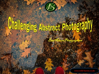 Challenging Abstract Photography